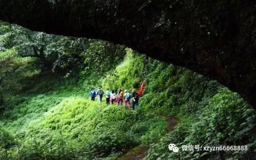 探索美图手机粉丝众多,为什么还是逃不过死亡的命运?逗小猴开心系列213